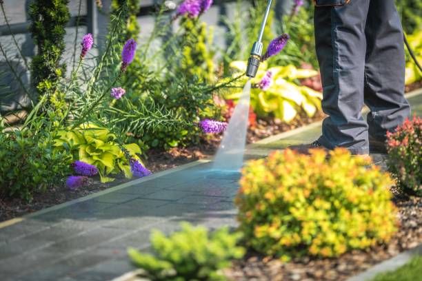 Best Deck and Patio Pressure Washing in Euless, TX
